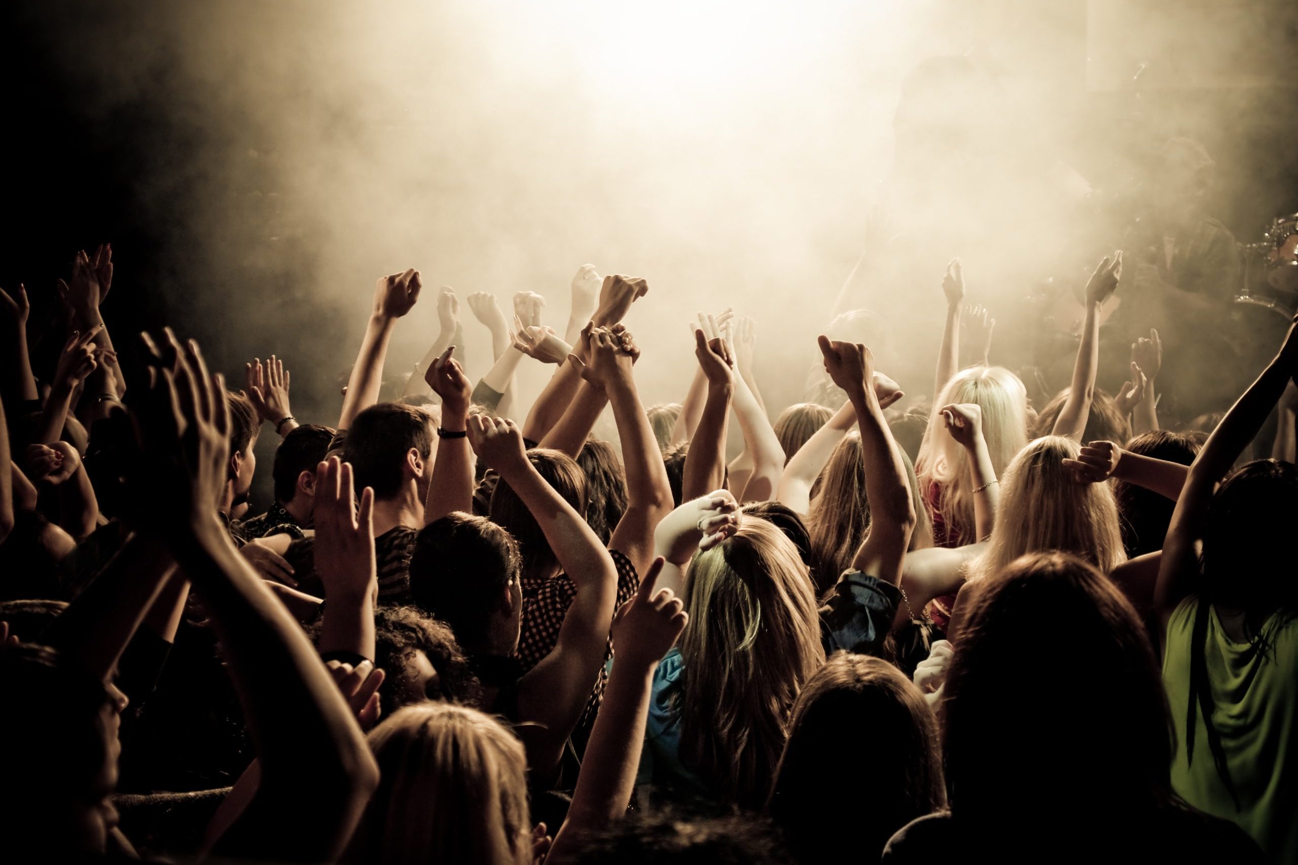 Vagt365.dk fest og event Music fans